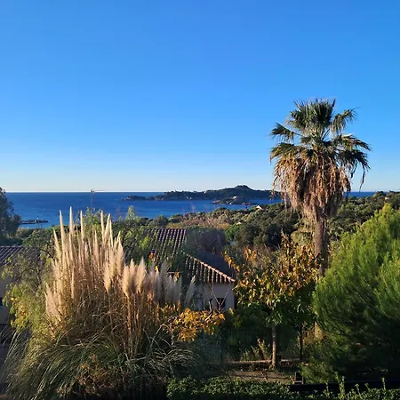 Vvf Presqu'ile De Giens *